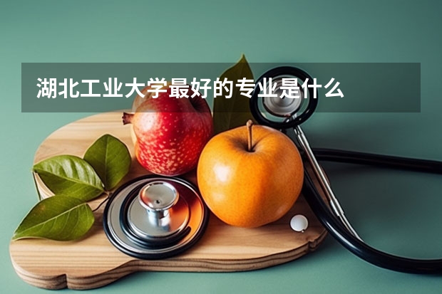 湖北工业大学最好的专业是什么