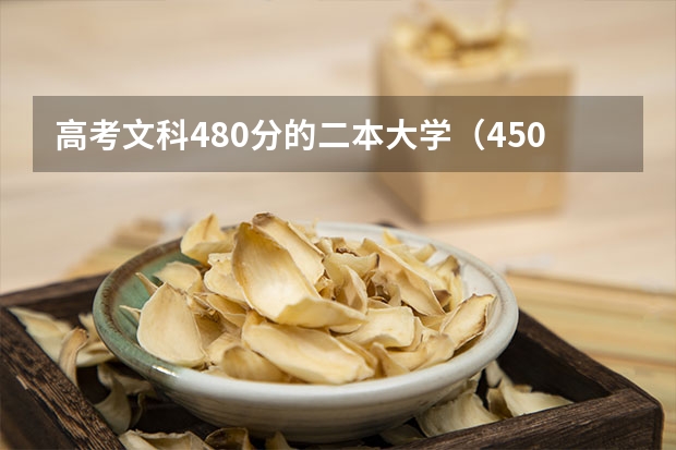 高考文科480分的二本大学（450分能上天津哪所二本大学）