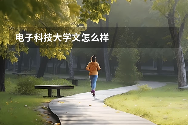 电子科技大学文怎么样