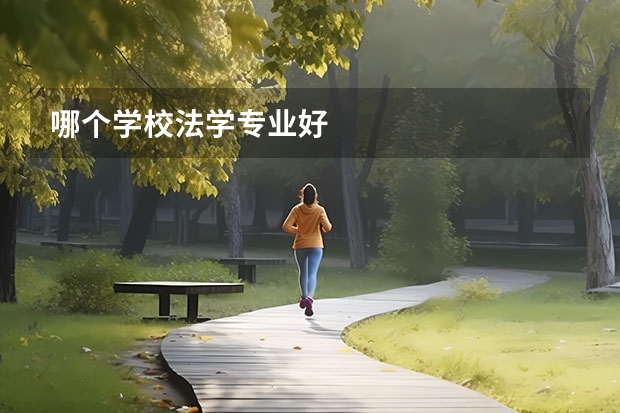 哪个学校法学专业好