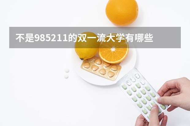 不是985211的双一流大学有哪些