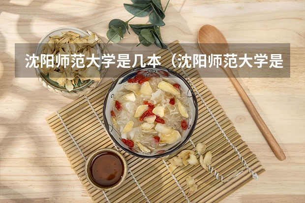 沈阳师范大学是几本（沈阳师范大学是一本还是二本学校）