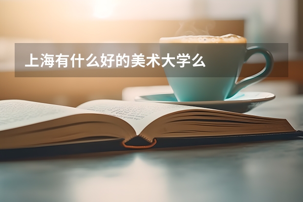 上海有什么好的美术大学么