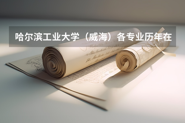 哈尔滨工业大学（威海）各专业历年在上海招生人数是多少