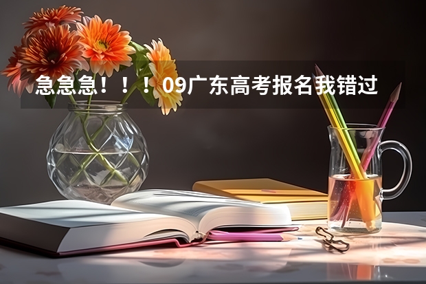 急急急！！！09广东高考报名我错过了时间，还可以补报吗？08年高考报名是可以补报的，09年的还可以吗？？