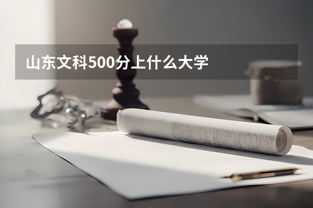 山东文科500分上什么大学