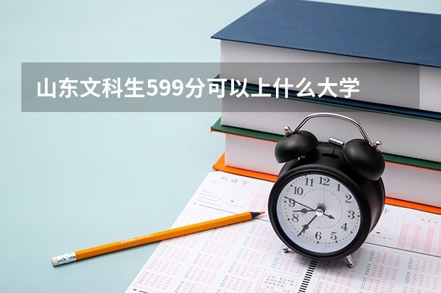 山东文科生599分可以上什么大学