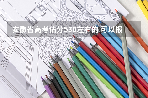 安徽省高考估分530左右的 可以报哪所军校（09年安徽高考军校咨询！）