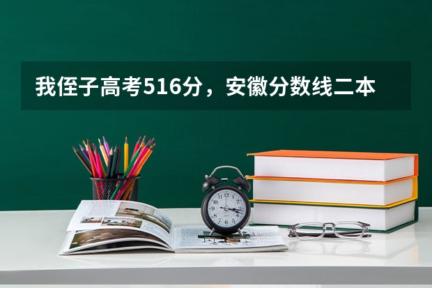 我侄子高考516分，安徽分数线二本是511，理科，有什么好的二本学校和专业推荐吗？最好在江浙沪皖地区的。