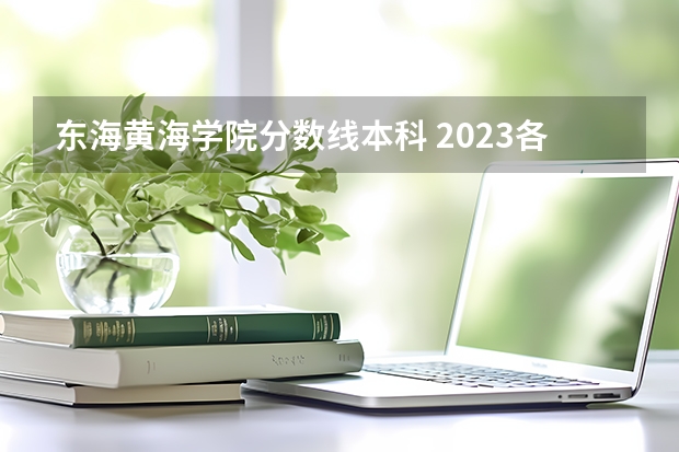 东海黄海学院分数线本科 2023各院校投档分数线