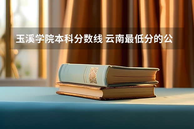 玉溪学院本科分数线 云南最低分的公办本科学校