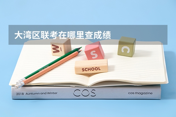 大湾区联考在哪里查成绩