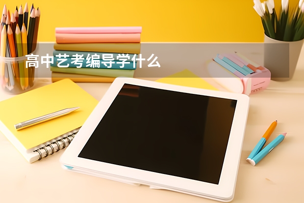 高中艺考编导学什么
