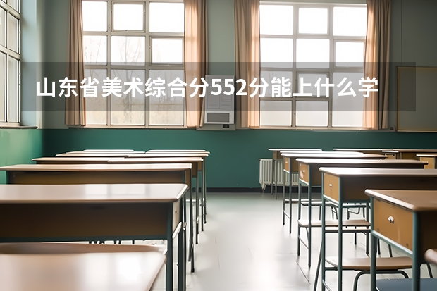 山东省美术综合分552分能上什么学校？