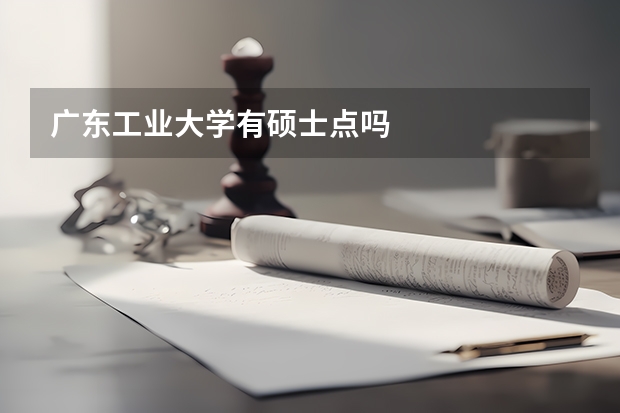 广东工业大学有硕士点吗